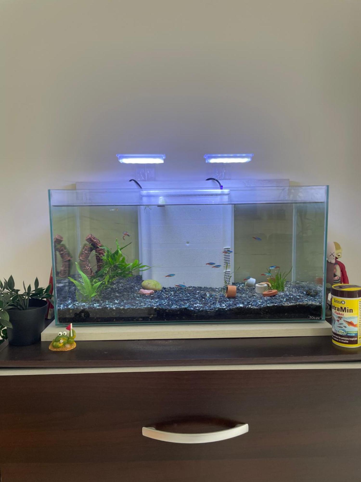 Appartement De Luca Saint-André-de-Cubzac Екстериор снимка